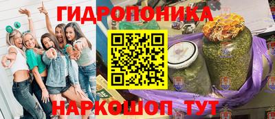 крисы Рязань