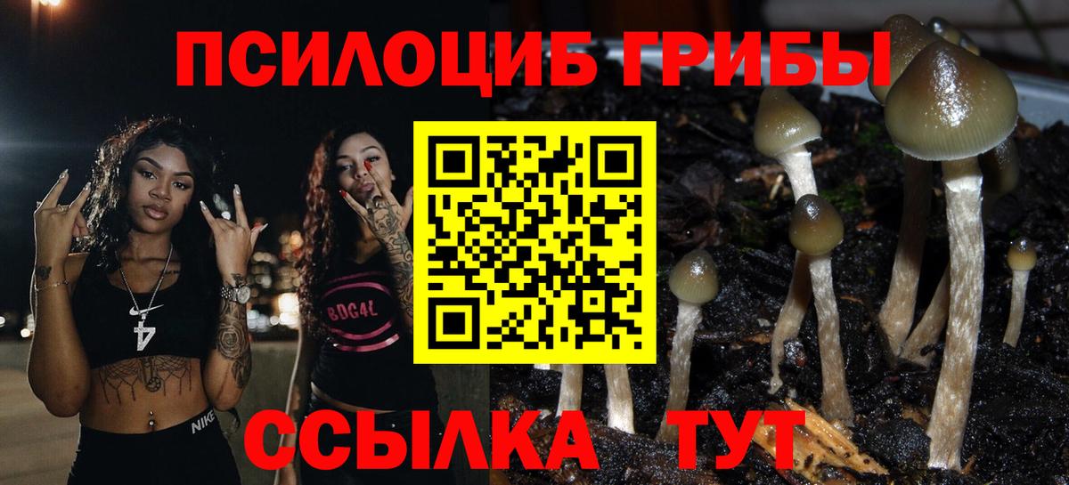 Галлюциногенные грибы Cubensis Отрадный